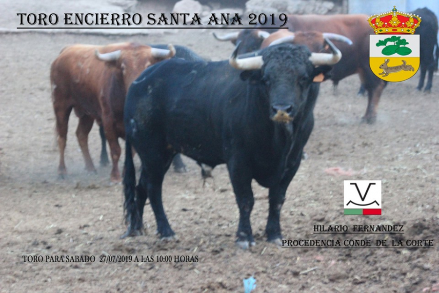 67087244_2299622900298171_7596735636866859008_n