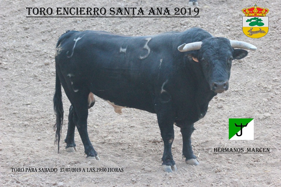 66607486 2299623010298160 6693011772611231744 n