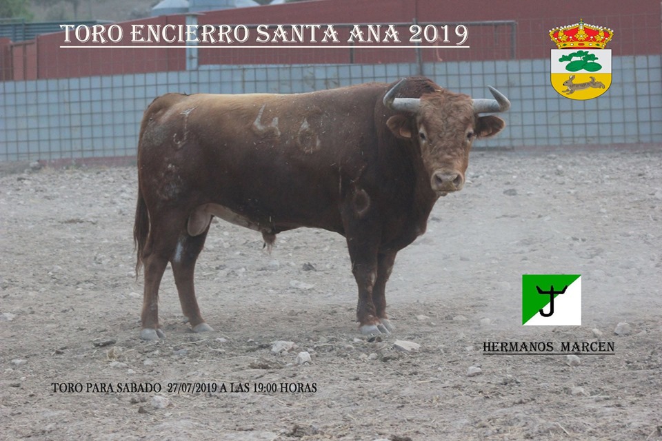 66803718 2299622950298166 6555753280780107776 n