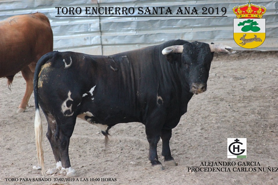 66804304 2299622903631504 2074037267696975872 n