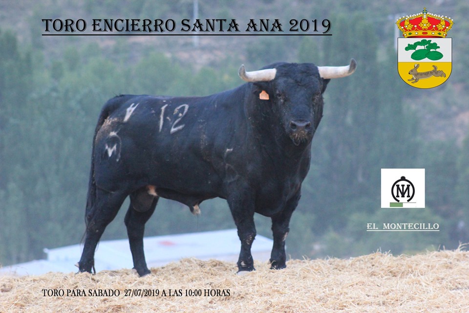 66835711 2299622910298170 5639357295906258944 n